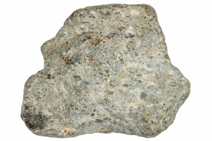 Lunar Meteorite ( g) - NWA #303674